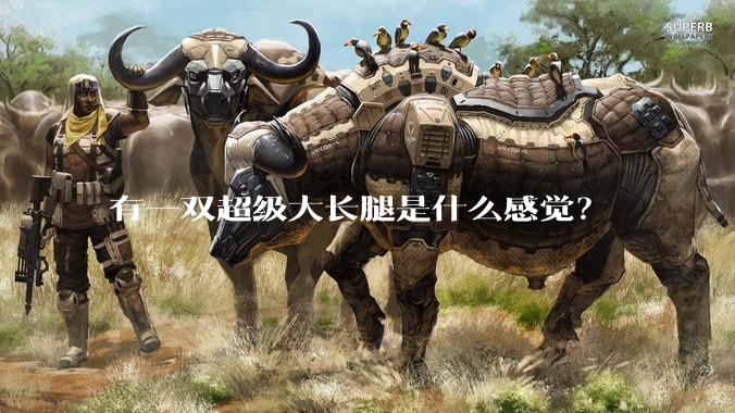 有一双超级大长腿是什么感觉？