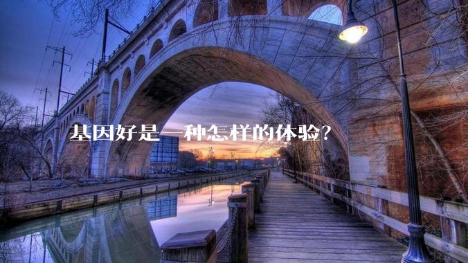 基因好是一种怎样的体验？