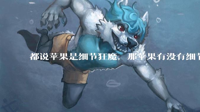 都说苹果是细节狂魔，那苹果有没有细节其实做的很差的点？