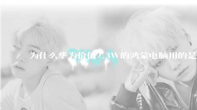 为什么华为价值2.3W的鸿蒙电脑用的是美国西数的SN740固态硬盘？
