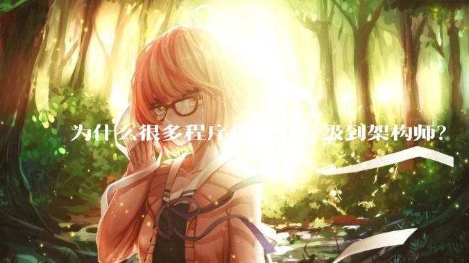 为什么很多程序员没有升级到架构师？