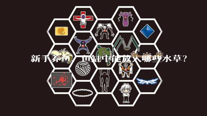 新手养鱼，鱼缸中能放入哪些水草？