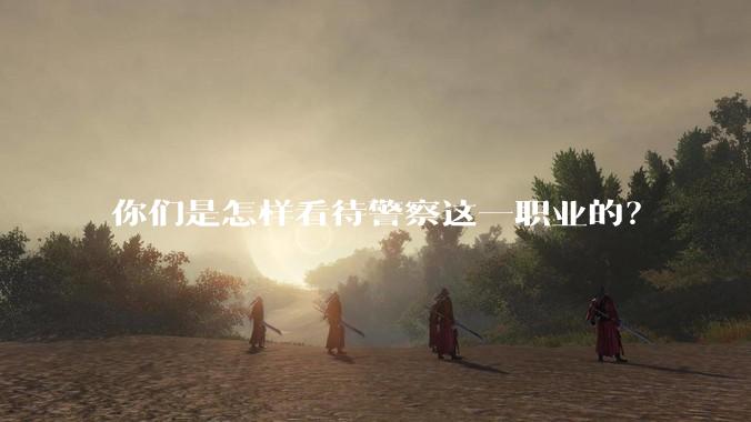 你们是怎样看待警察这一职业的？