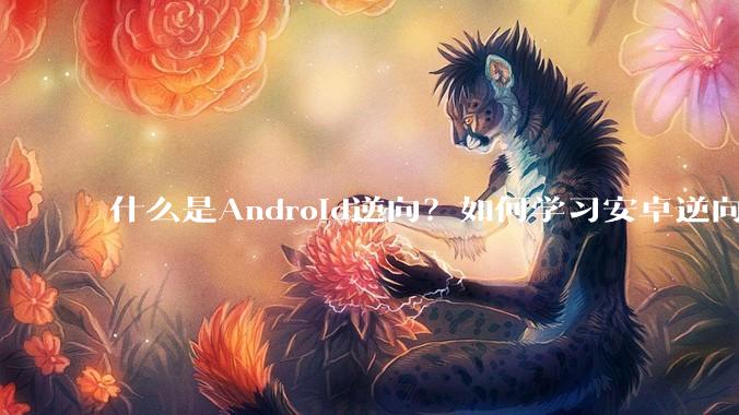 什么是Android逆向？如何学习安卓逆向？