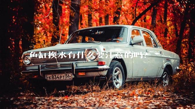 鱼缸换水有什么要注意的吗？