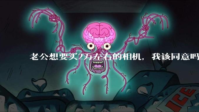 老公想要买2万左右的相机，我该同意吗？