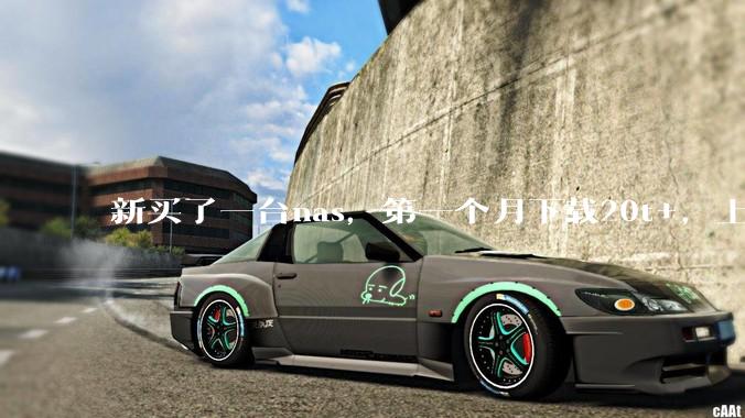 新买了一台nas，第一个月下载20t+，上传5+，不会被网警盯上吧?