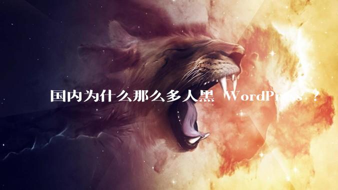 国内为什么那么多人黑 WordPress ？