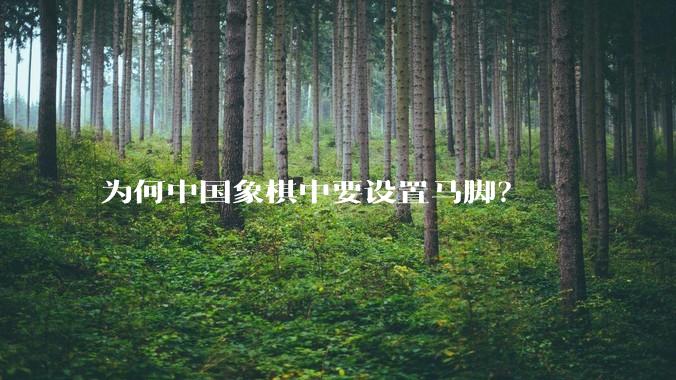 为何中国象棋中要设置马脚？