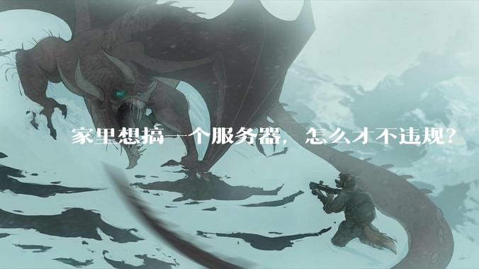 家里想搞一个服务器，怎么才不违规？