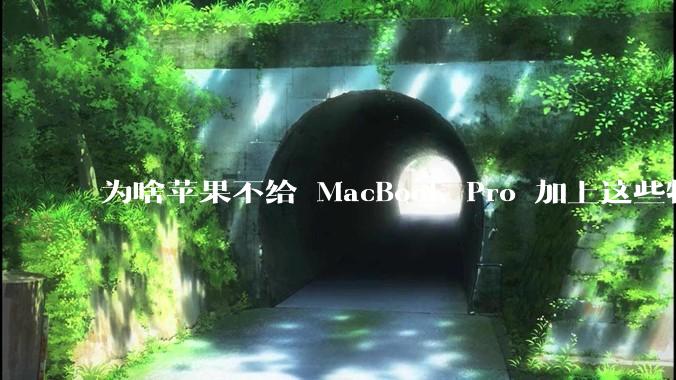为啥苹果不给 MacBook Pro 加上这些特性？