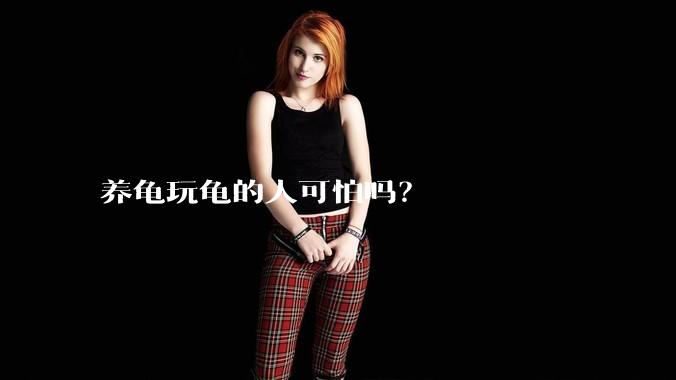 养龟玩龟的人可怕吗？
