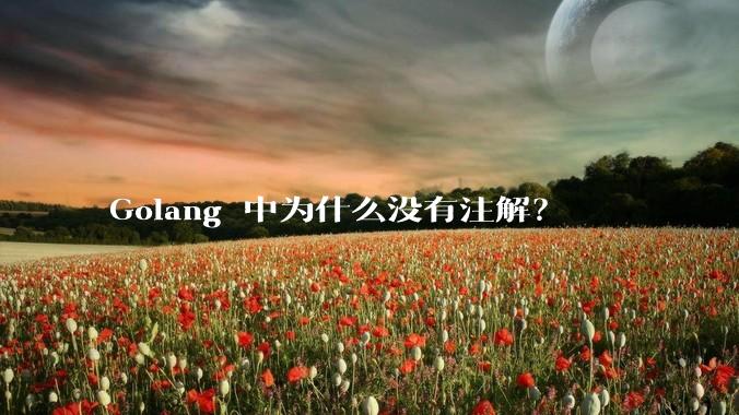 Golang 中为什么没有注解？