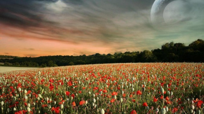 你被哪个后来知道很sb的BUG困扰过一周以上吗？